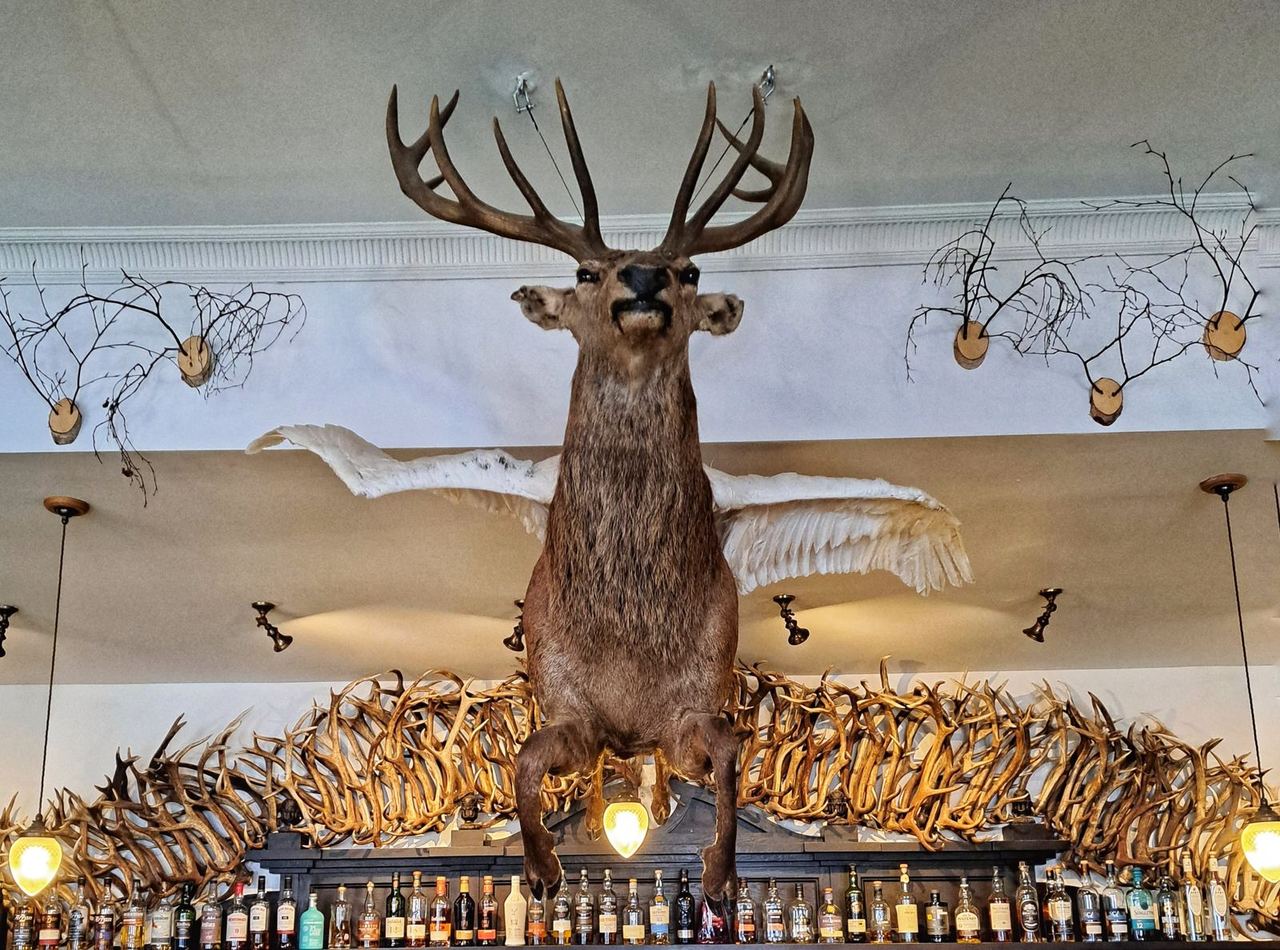 Präparierter Hirsch und andere Deko im Flying Stag Pub, Fife Arms Hotel